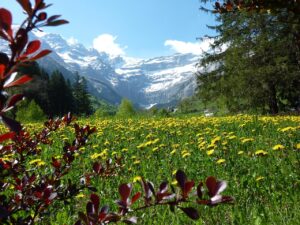 Le Carot Hautes-Pyrénées, Bigorre, pays de toutes vos envies