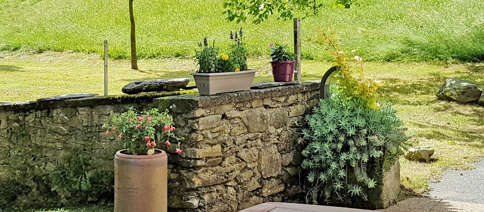 Terrasse, jardin et nature